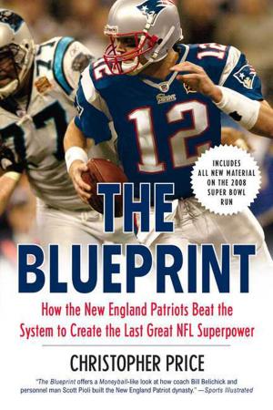 Cover of the book The Blueprint by Ben Kane