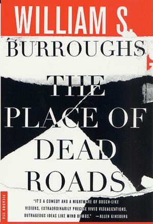 Cover of the book The Place of Dead Roads by Anita Elberse