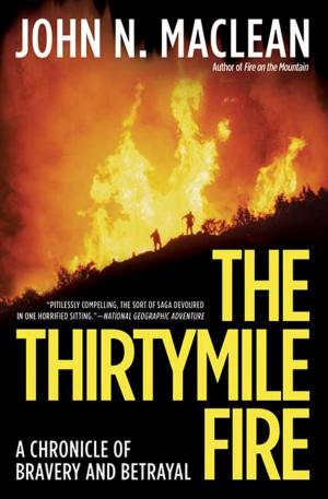 Book cover of The Thirtymile Fire