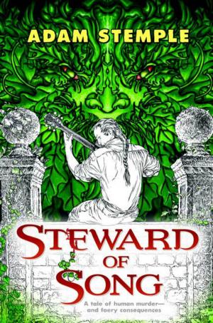 Cover of the book Steward of Song by Brandon Sanderson