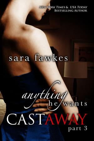 Cover of the book Anything He Wants: Castaway (#3) by Christine Warren