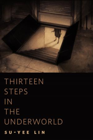 bigCover of the book Thirteen Steps in the Underworld by 