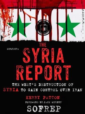 Book cover of The Syria Report