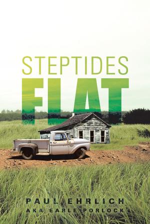 Cover of the book Steptides Flat by Cormac G McDermott