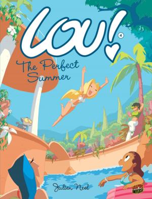 Book cover of The Perfect Summer