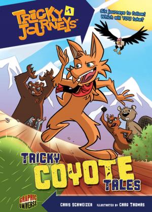 Cover of the book Tricky Coyote Tales by Brian P. Cleary