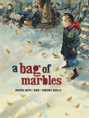 Book cover of A Bag of Marbles