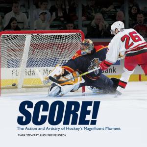Cover of the book Score! by Brian P. Cleary