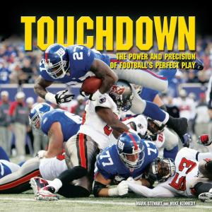Book cover of Touchdown