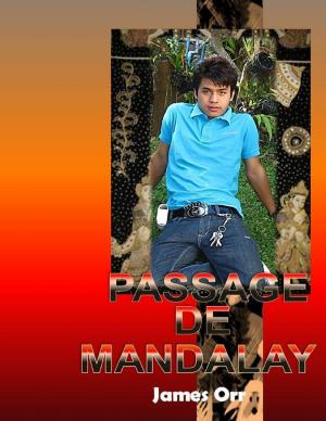 Cover of the book Passage from Mandalay by Preston Grant