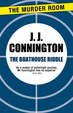 Cover of the book The Boathouse Riddle by Jaine Fenn
