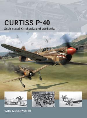 Book cover of Curtiss P-40