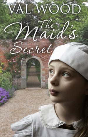 Cover of the book The Maid's Secret by Kobie Kruger
