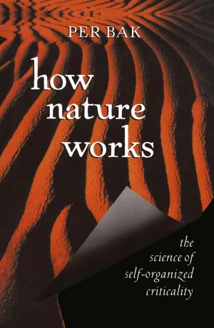 bigCover of the book How Nature Works by 