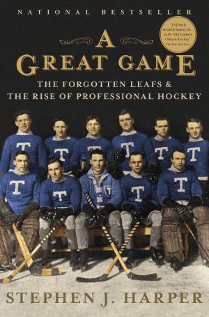 Cover of the book A Great Game by David O. Stewart