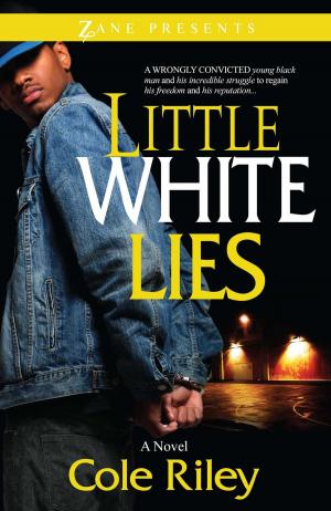 Cover of the book Little White Lies by D.V. Bernard
