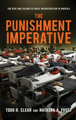 Cover of the book The Punishment Imperative by Judith Wellman