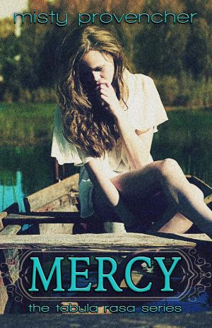 Cover of the book Mercy by Lani Lenore