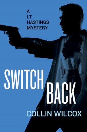 Cover of the book Switchback by mia mornar
