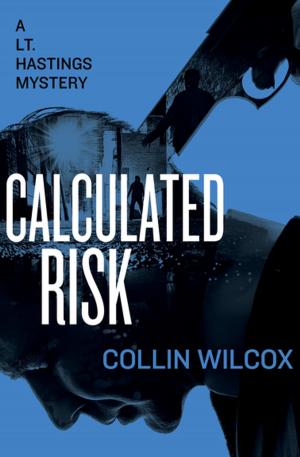 Cover of the book Calculated Risk by John Eider