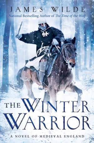 Cover of the book The Winter Warrior by Jessica Eissfeldt