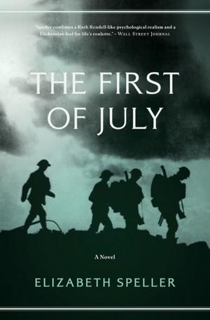 bigCover of the book The First of July by 