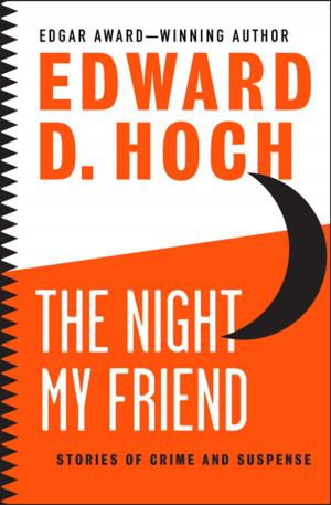 Book cover of The Night My Friend