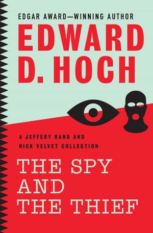 Book cover of The Spy and the Thief