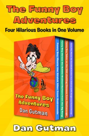 Cover of the book The Funny Boy Adventures by Elizabeth Hand