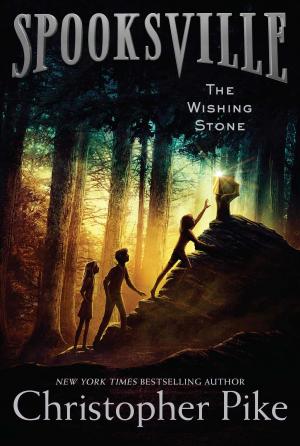 Cover of the book The Wishing Stone by Brad Strickland, Thomas E. Fuller