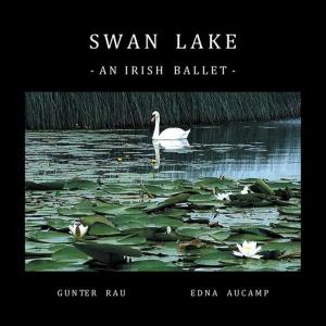 Cover of the book Swan Lake by Aimee Blackburn