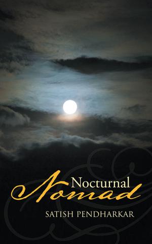 Cover of the book Nocturnal Nomad by Aarushe Sharma