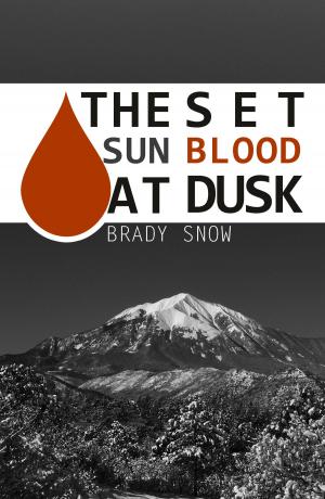 Cover of the book The Set Sun Blood At Dusk by Marty Nemko