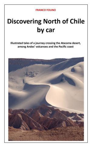 Cover of the book Discovering North of Chile by Car by X485