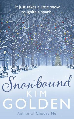 Cover of the book Snowbound by Emilie Rose