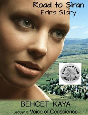 Cover of the book Road to Siran by Teresa Anderson
