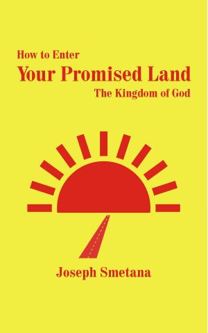 Cover of the book How to Enter Your Promised Land, The Kingdom of God by Jane Galbraith