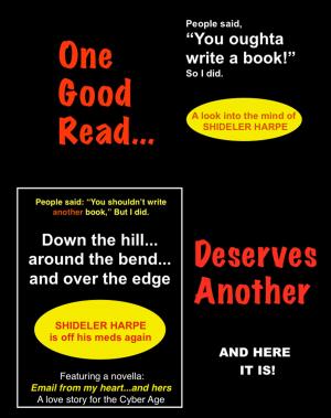 Cover of the book Down the Hill...Around the Bend...and Over the Edge by Martin H Manser