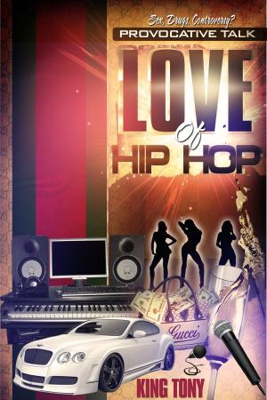 Cover of the book Provocative Talk Love of Hip Hop by Elizabeth Ehlen, MSW LCS, Dewey Crepeau, Esq.