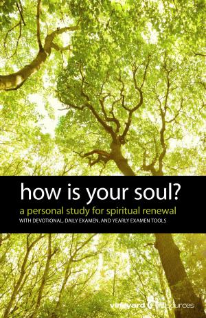 Cover of the book How Is Your Soul? by Anthony Joseph Morrone