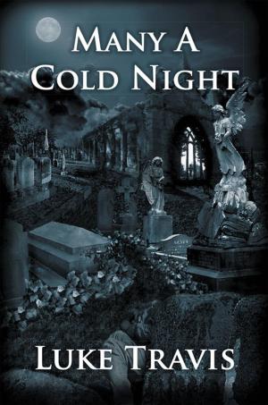 Cover of the book Many a Cold Night by Hannelie
