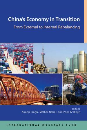 Book cover of China's Economy in Transition: From External to Internal Rebalancing