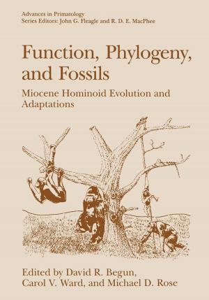 Cover of the book Function, Phylogeny, and Fossils by Katsura Aoyama