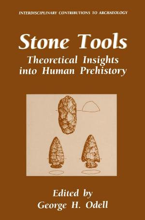 Cover of the book Stone Tools by Benjamín Collado Hinarejos