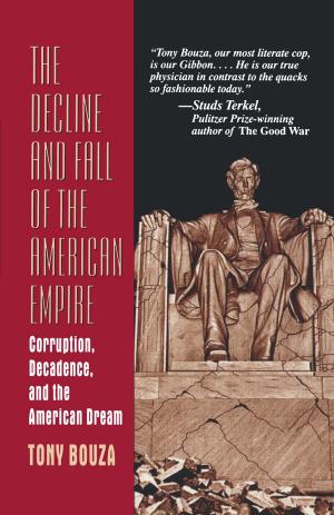 Cover of the book The Decline and Fall of the American Empire by Walter Lacarbonara