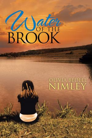 Cover of the book Water of the Brook by Sheldon L’henaff