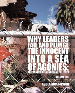 Cover of the book Why Leaders Fail and Plunge the Innocent into a Sea of Agonies by Naseer Dashti