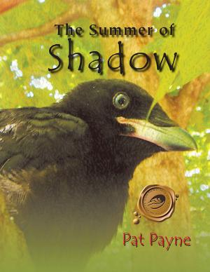 Book cover of The Summer of Shadow