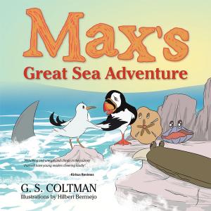 Cover of the book Max’S Great Sea Adventure by Mahdi Ziaei