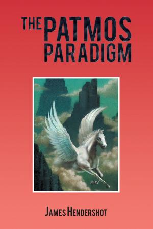 Cover of the book The Patmos Paradigm by Don McComber